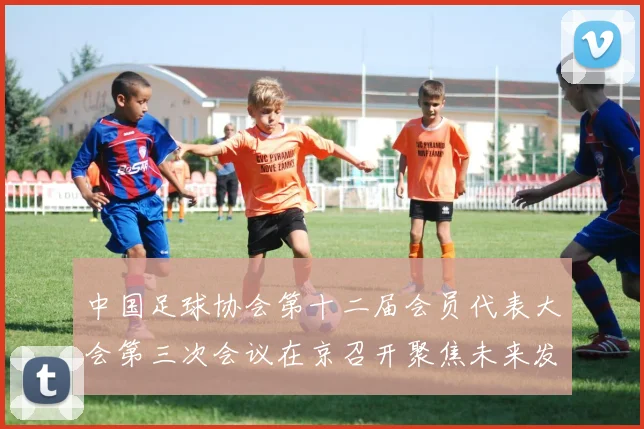 中国足球协会第十二届会员代表大会第三次会议在京召开聚焦未来发展规划