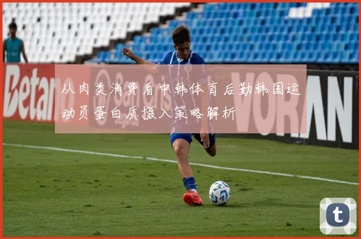 从肉类消费看中韩体育后勤韩国运动员蛋白质摄入策略解析