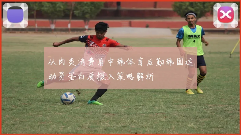 从肉类消费看中韩体育后勤韩国运动员蛋白质摄入策略解析